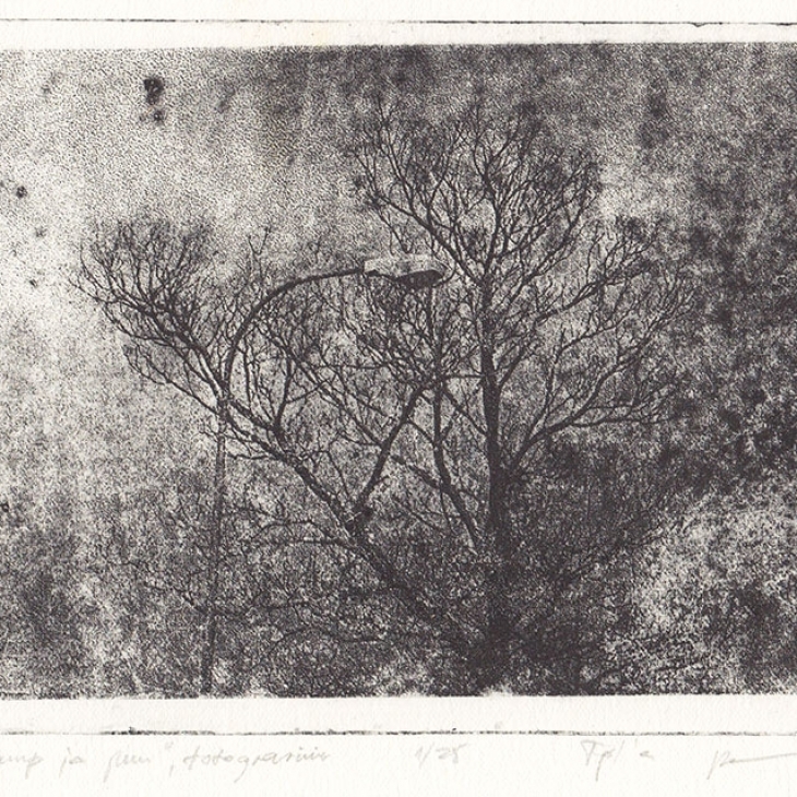 Lamp and tree by Lilli-Krõõt Repnau