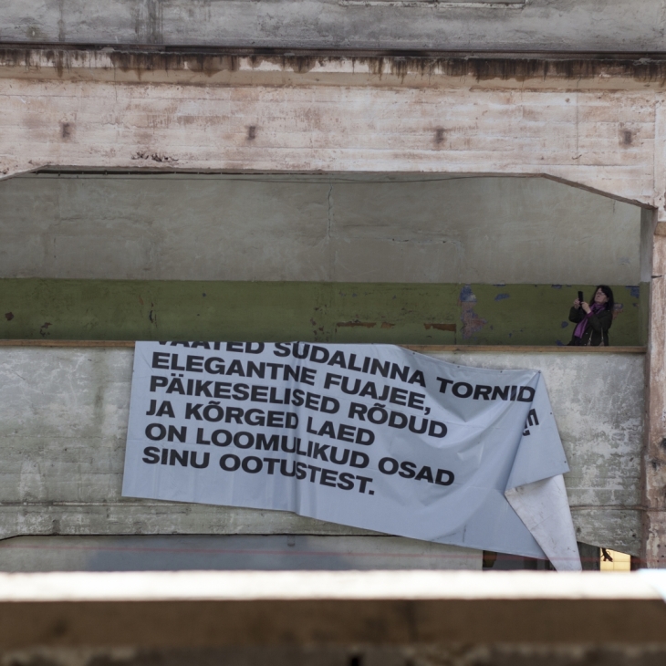 365 kordumatut vaadet  - Mari Volens