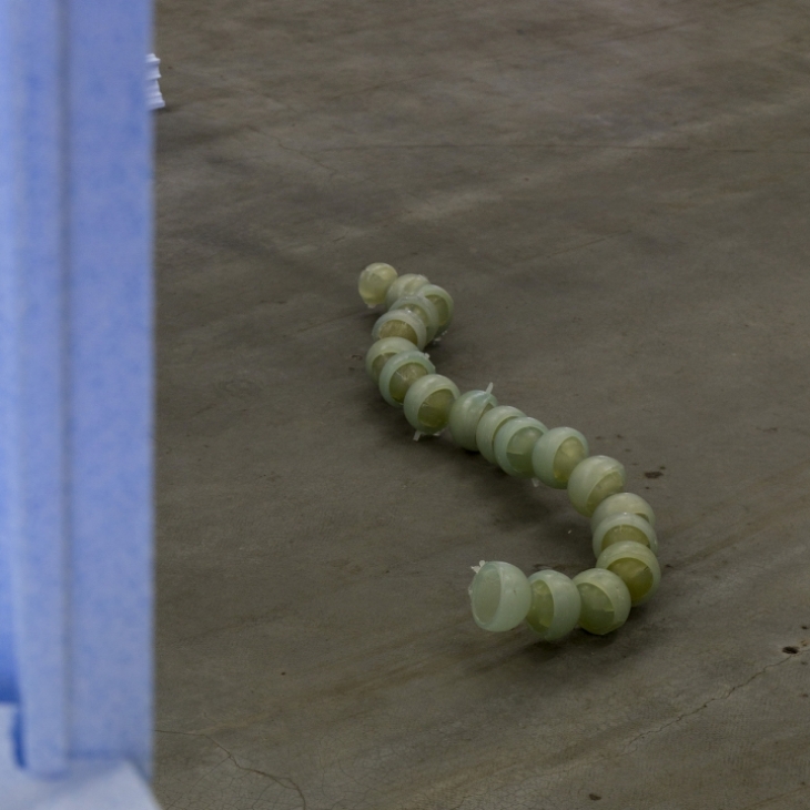 Gorilla Pod by Janis Dzirnieks