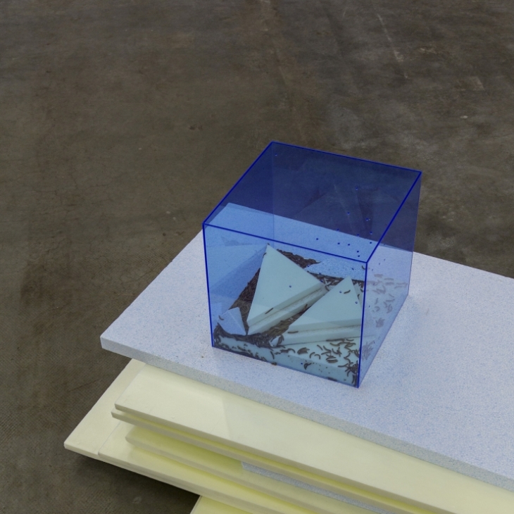 A Little Help from our Friends by Janis Dzirnieks