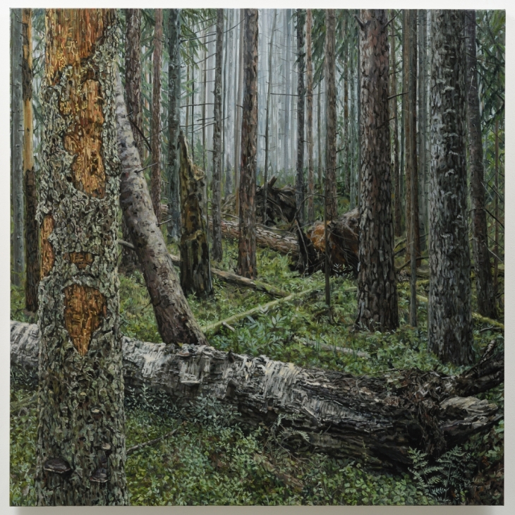 Metsik paradiis - Jane Remm