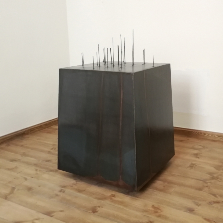 Vox - Adomas Sviklas