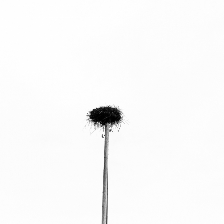 Home by Agnese Aljena