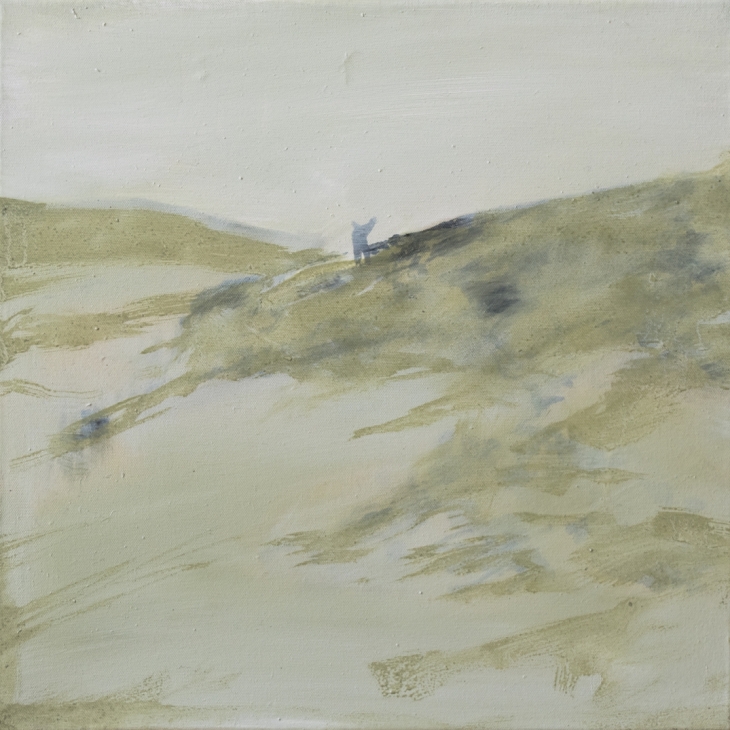 Viirelis - Liva Blumfelde