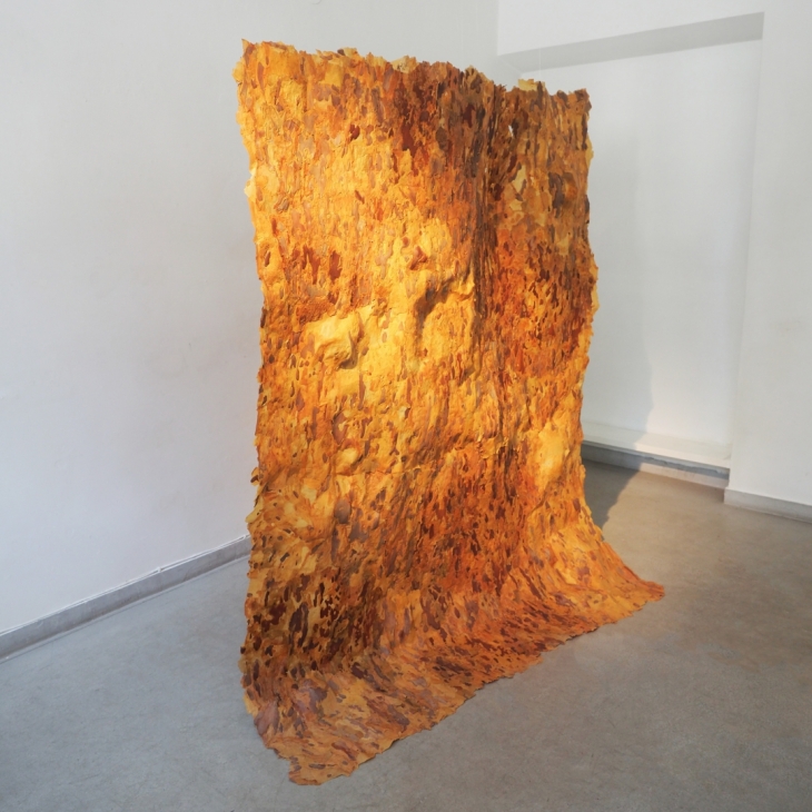 (Non)living Forest Floor - Indrė Milašiūtė