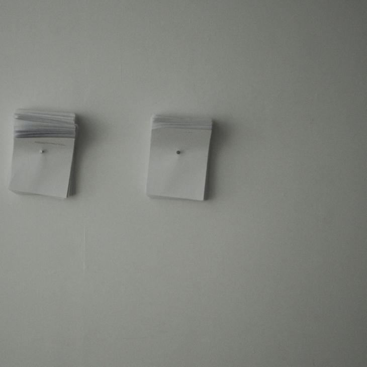 part of installation "2015.01.28 - 2019.05.24" - Arnas Špakauskas