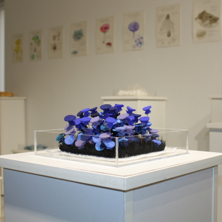 Textorium Fungarium by Meda Vitartaitė