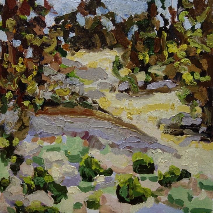 Seeriast Ruhnu maastik - Karin Strohm