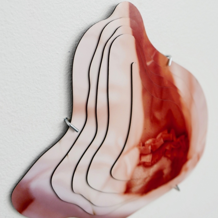 Series of photo-objects  - Maris Karjatse