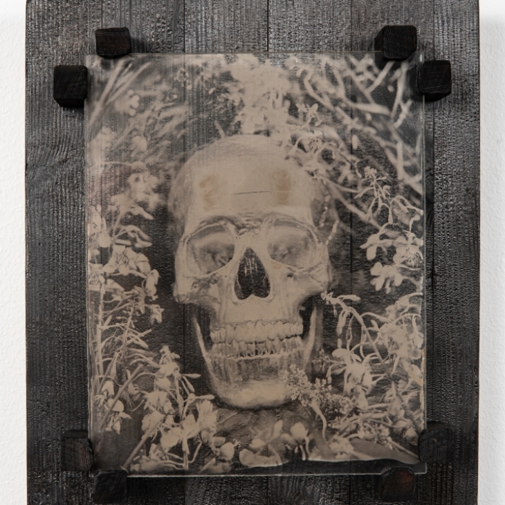 Homo Insipiens by Aleksi Kallioja