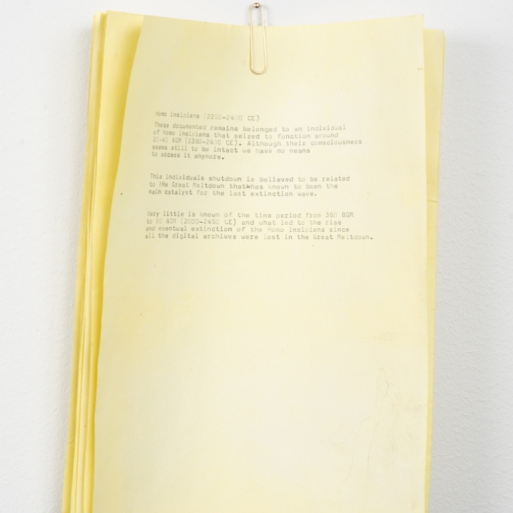 Homo Insipiens by Aleksi Kallioja