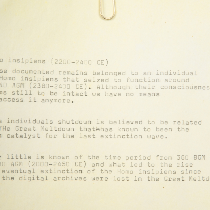 Homo Insipiens by Aleksi Kallioja