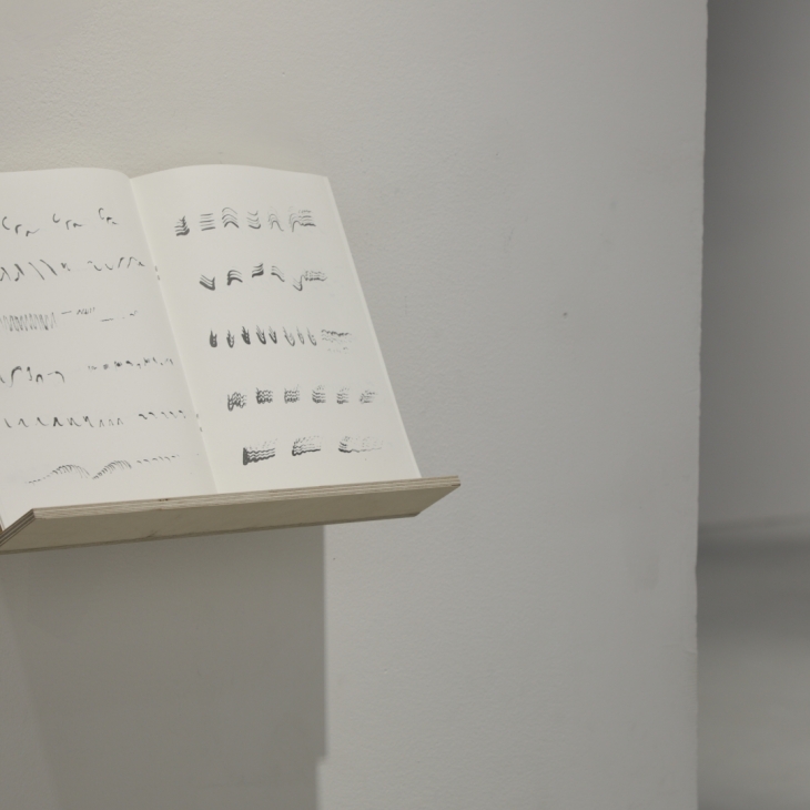 Etudes for birds (detail) by Leena Saarinen