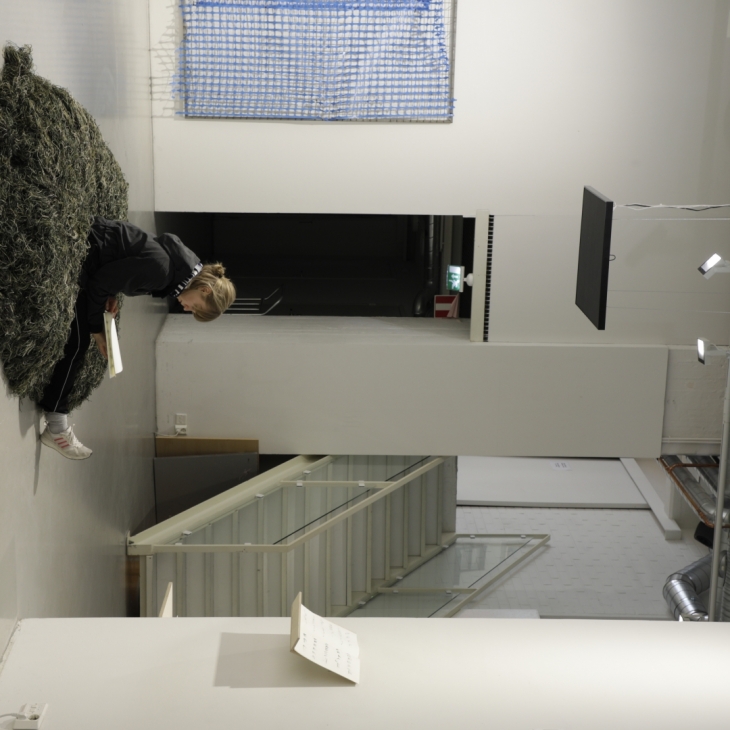 Etudes for birds (detail) by Leena Saarinen