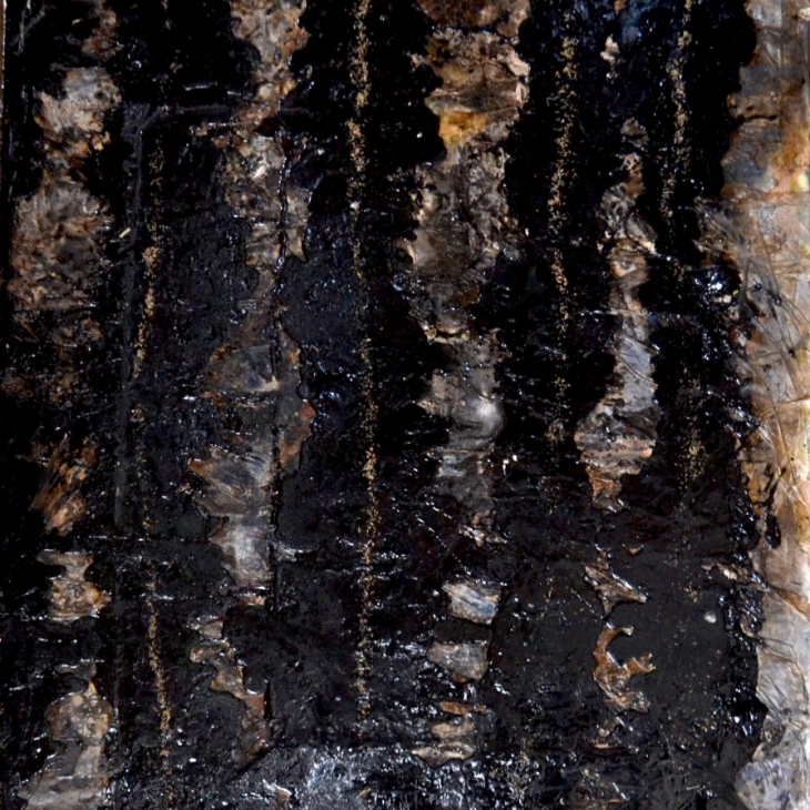 Soil - Akvilė Malukienė