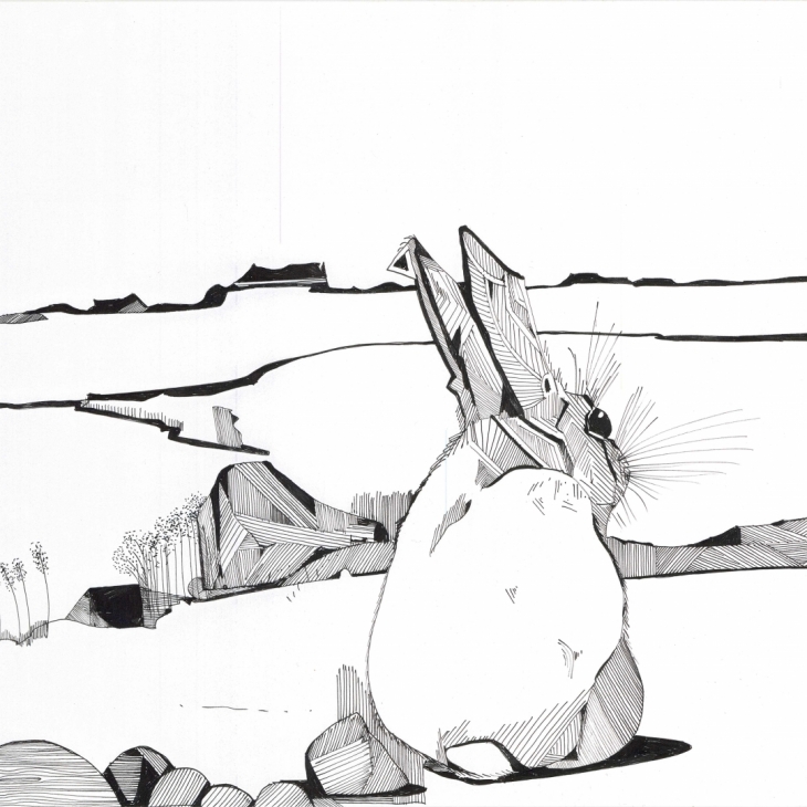 Rabbit on a Kukeranna Landscape by Pille Tael