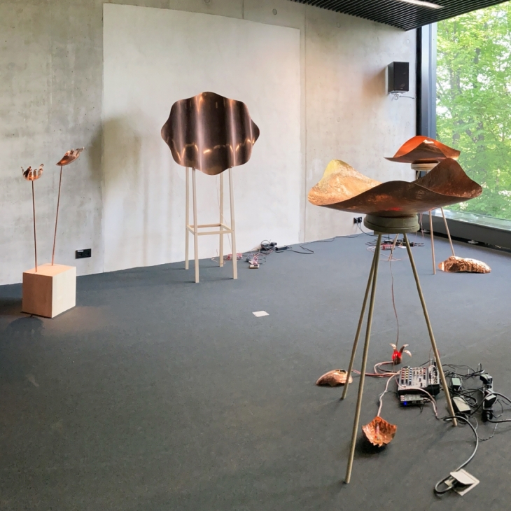 Copper Fever - Katrin Enni