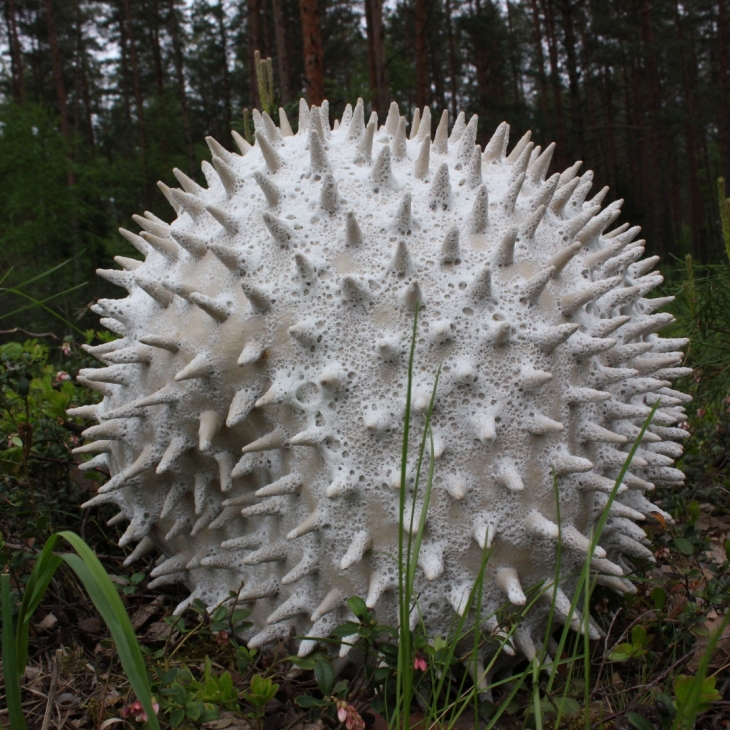 Stone of the sadness - Dārta Berkmane