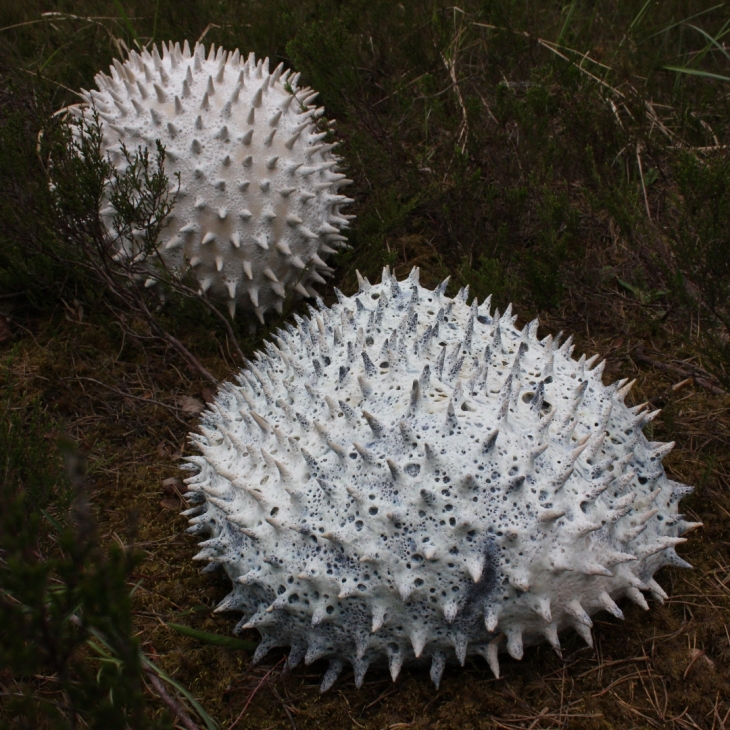 Untitled 1 - Dārta Berkmane