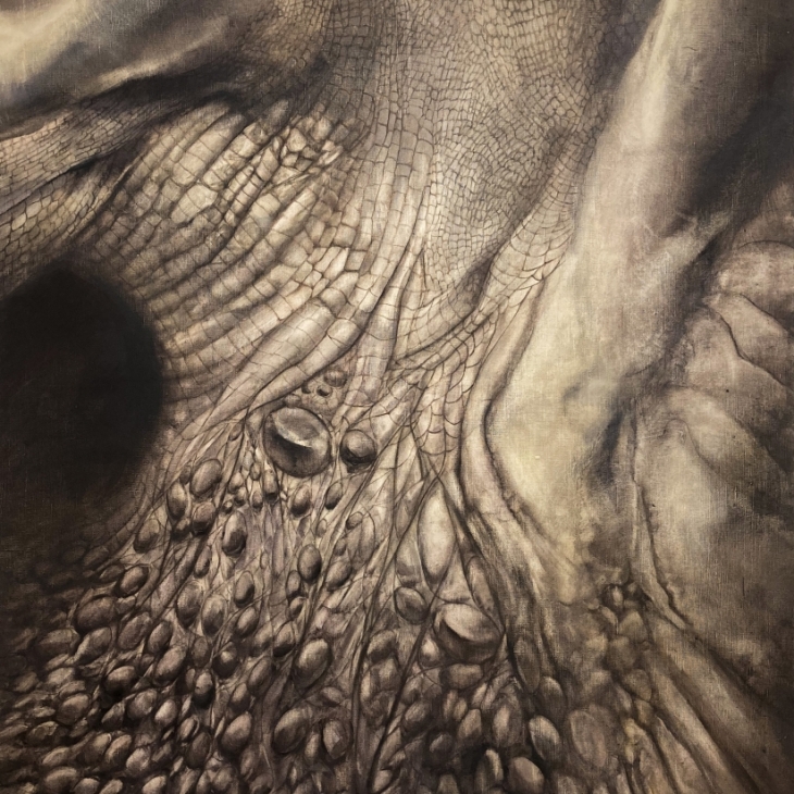 Reptilia l by Marta Grige