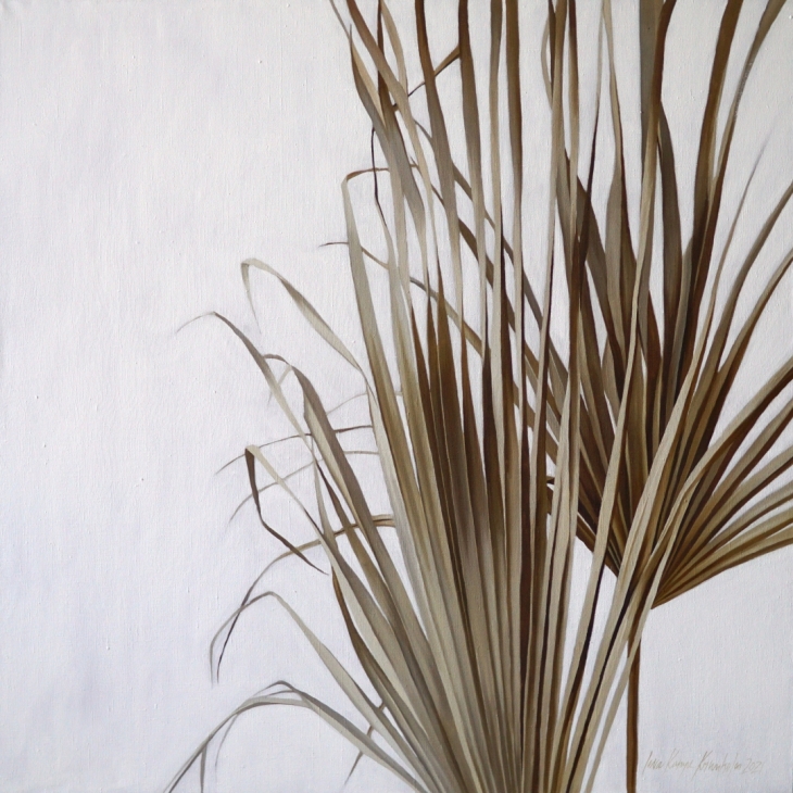 Dieback before regrow by Ieva Kampe Krumholca