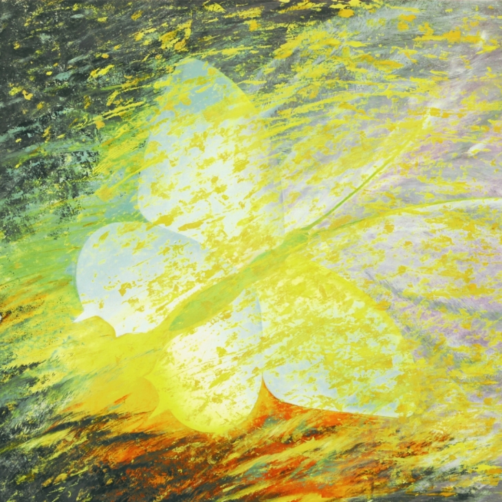 Light code by Eve Luik