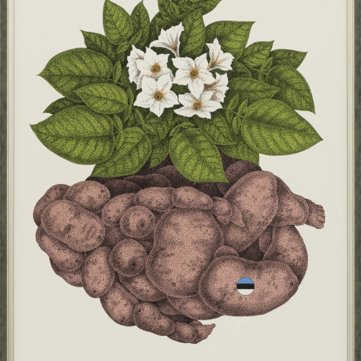 Potato 2 by Aarne Mesikäpp