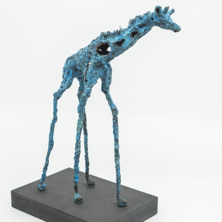 Giraffa camelopardalis by Olger Lehtsaar
