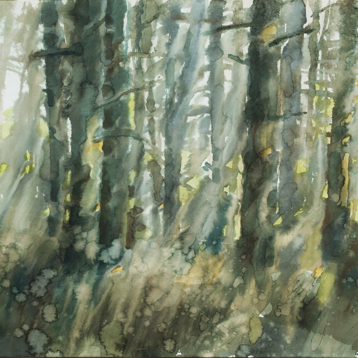 Enchanted Forest by Rein Mägar
