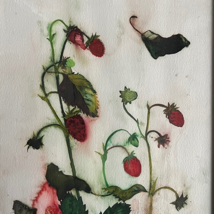 Strawberries II by Sandra Jõgeva