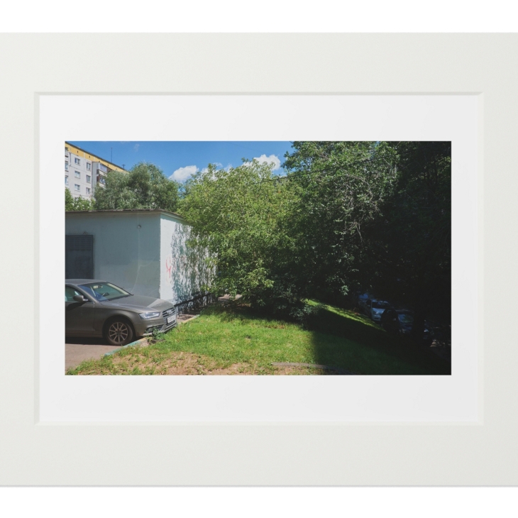 Trees and cars, Ilia Netesov
