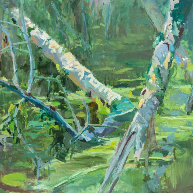 Beloved swamp by Tomas Stanaitis