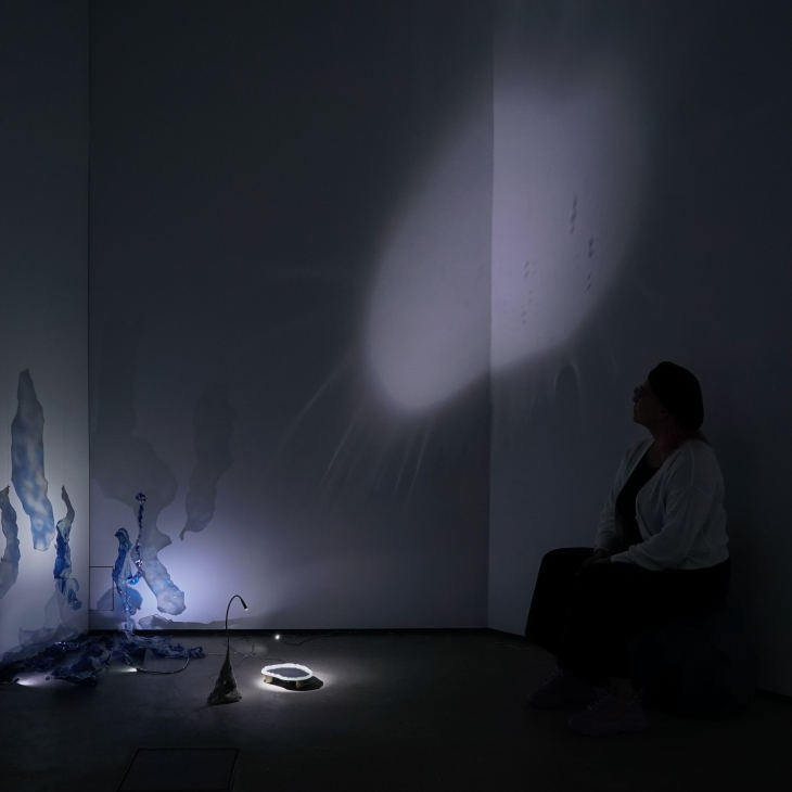 Shifting baselines by Leena Saarinen