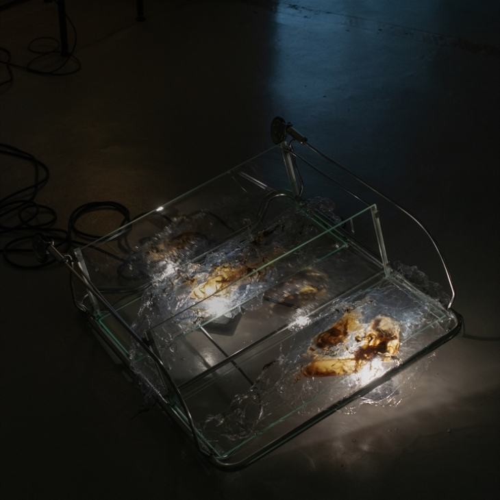 Feast III - Evelina Bernatonytė