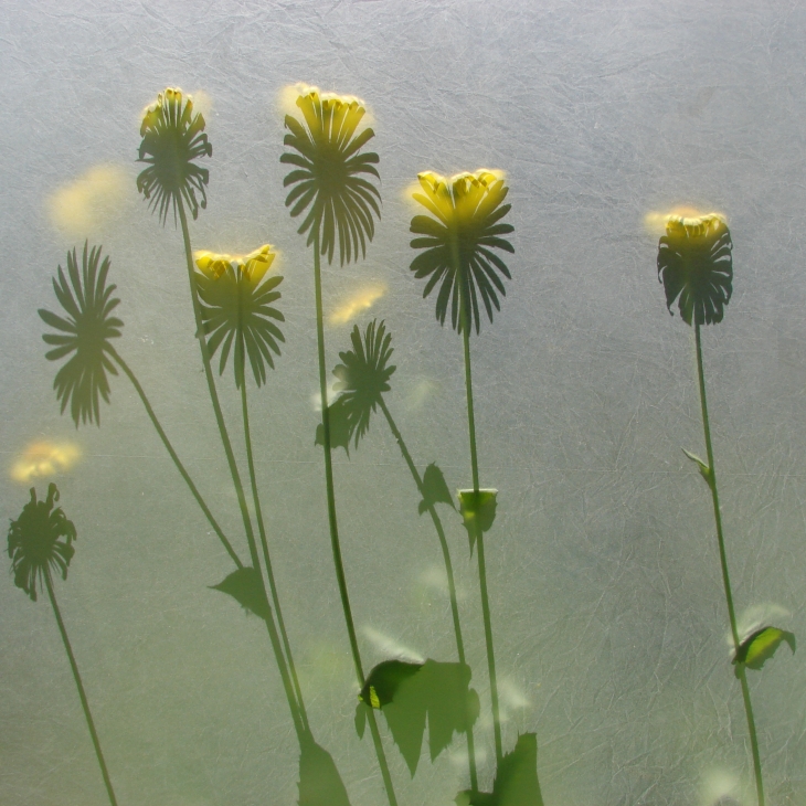 Flowers 12 by Tõnu Valge