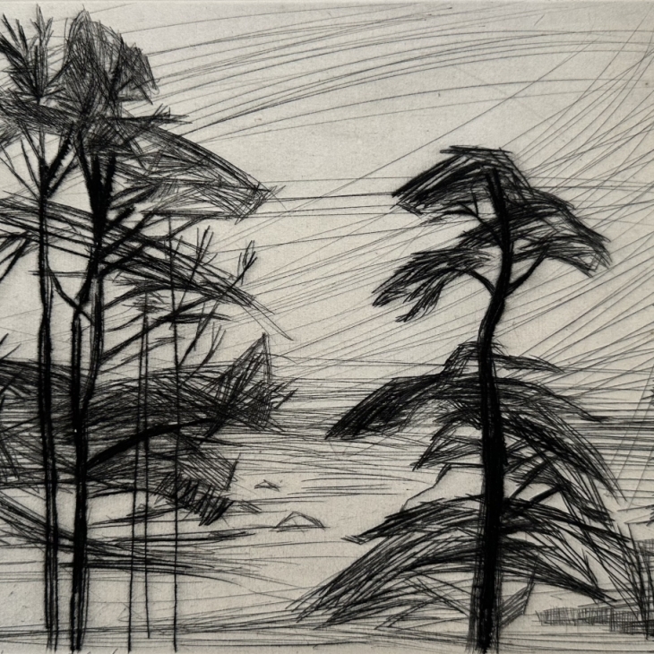 Coastal pines by Evi Tihemets