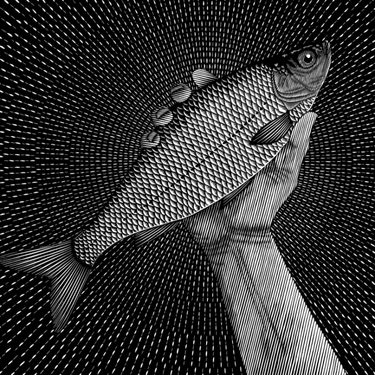 The Fish by Toomas Kuusing