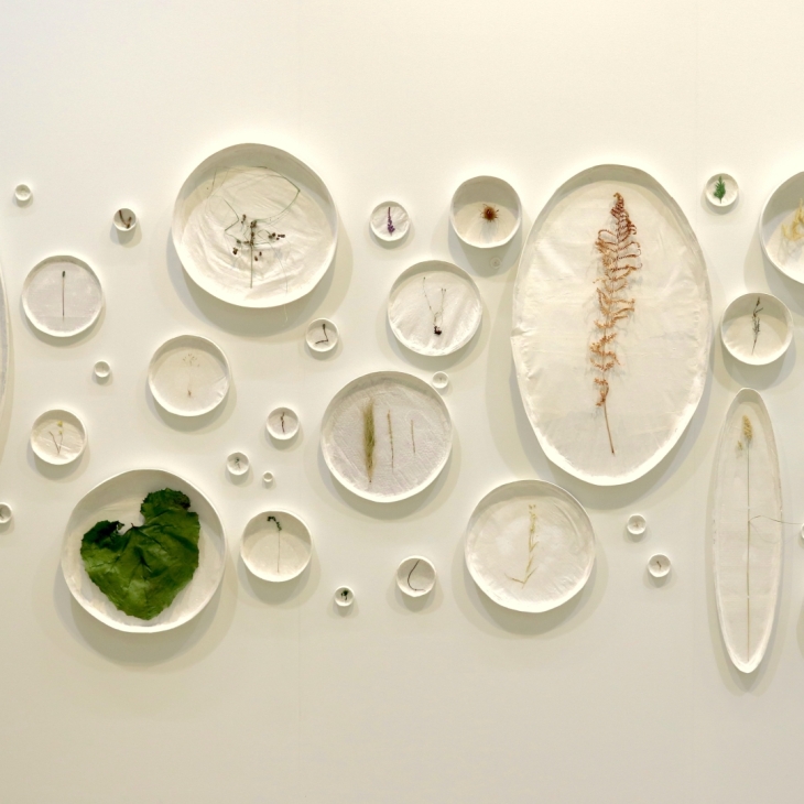 plants - Ellenor Rose Nish
