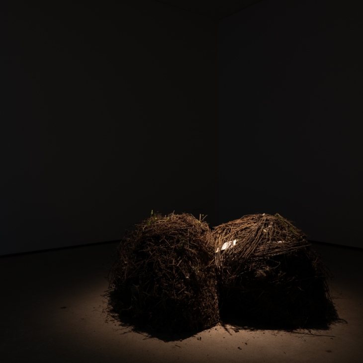 It’s all good at the compost heap - Ramina Habibollah