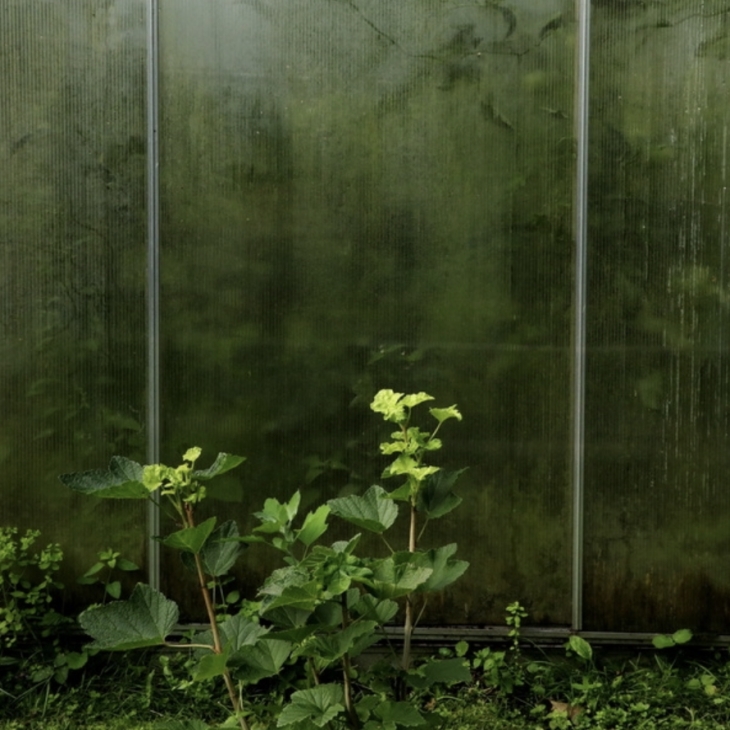 Composition with a morning greenhouse by Jaak Kikas