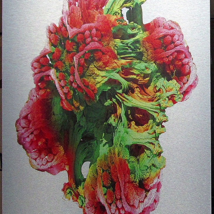Colorful cabbage 5 by Artur Kuus