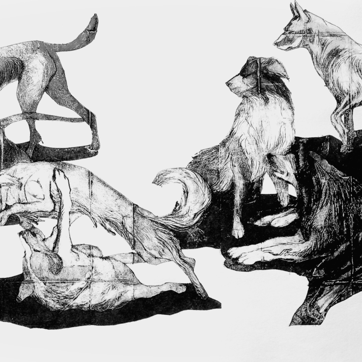 Dogs of Tbilisi - Anna-Liisa Sääsk
