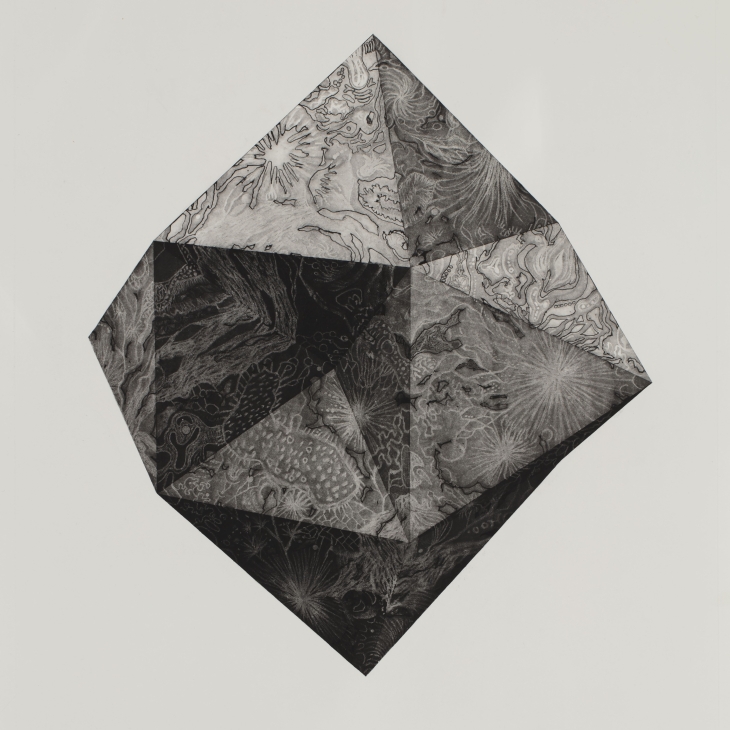 Category III by Agnese Apine