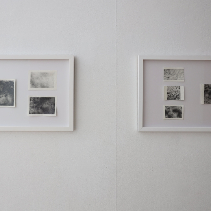 Materia Prima drawings by Elisa Margot Winters