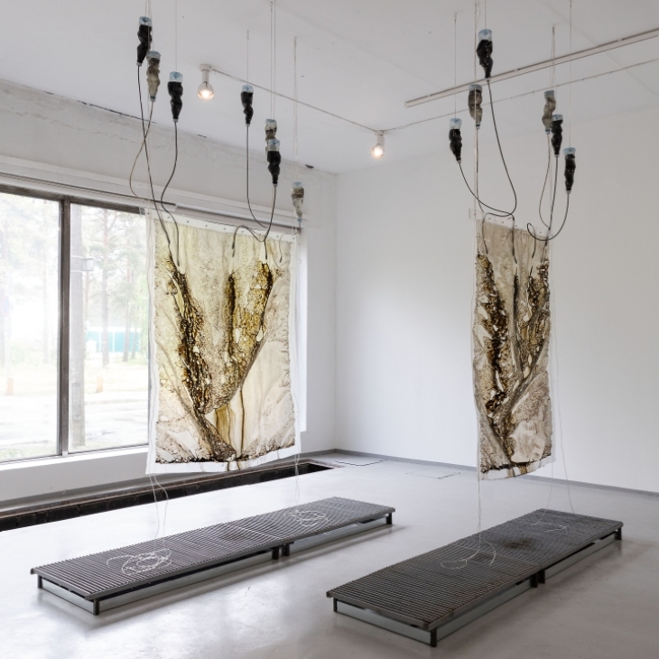 Bleeding Dry 1 and 2 by Mara Kirchberg