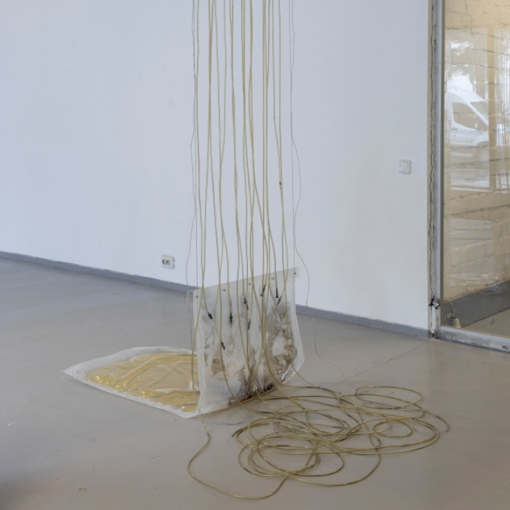 Blood Bag (out of order) by Mara Kirchberg