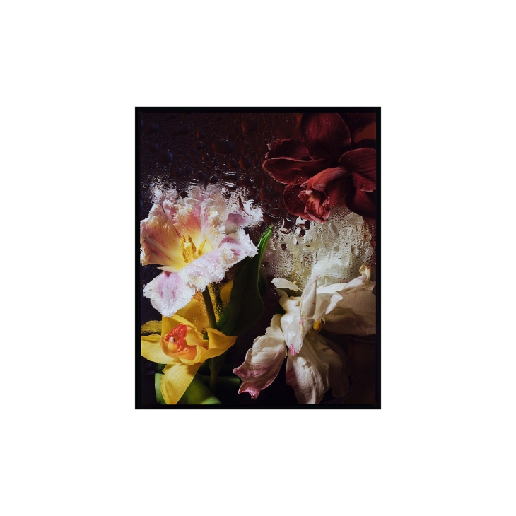 Flower Studies II by Anna-Maria Vaskovskaja