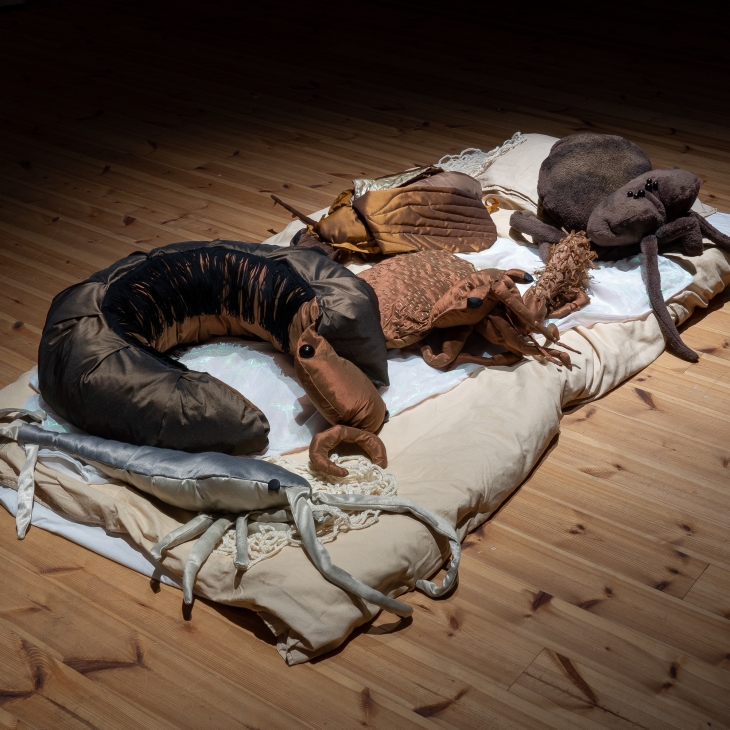 Bedbugs - Rauha Arana