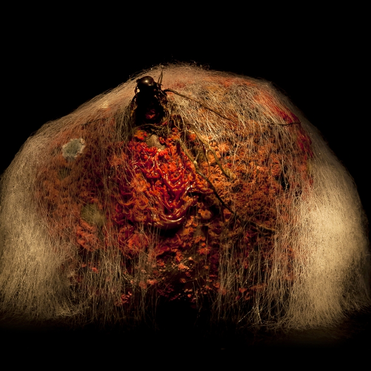 Peet I (sarjast "Afterlife") - Heikki Leis