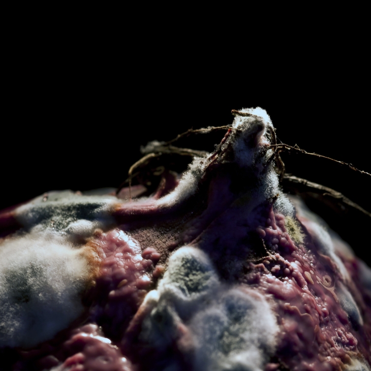 Peet II (sarjast "Afterlife") - Heikki Leis